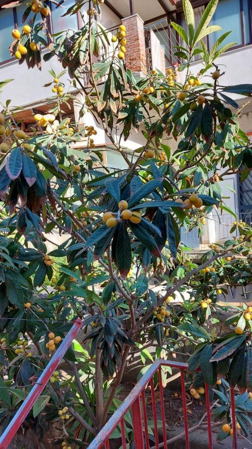 Casa Vacanze Il Nespolo Catania Luaran gambar